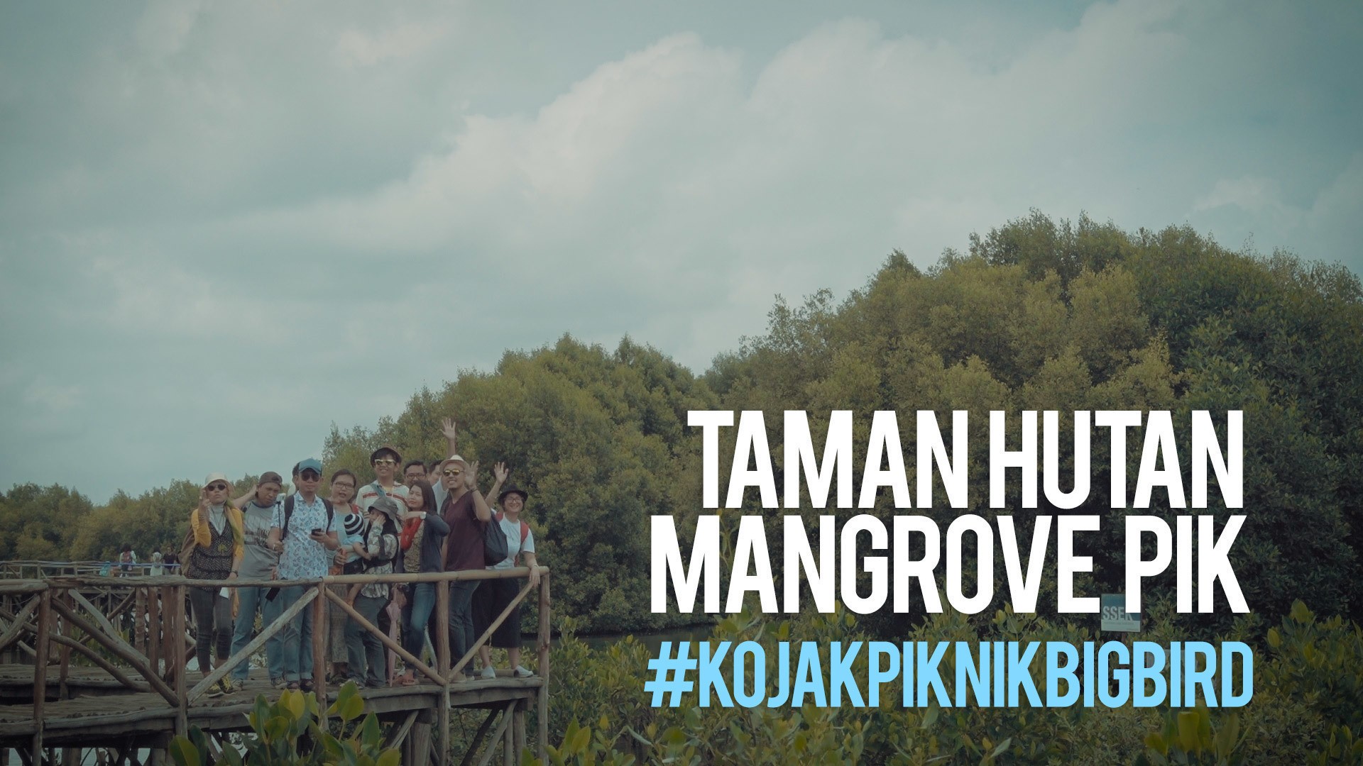 Piknik Ke Taman Hutan Mangrove Pik Kojakpiknikbigbird