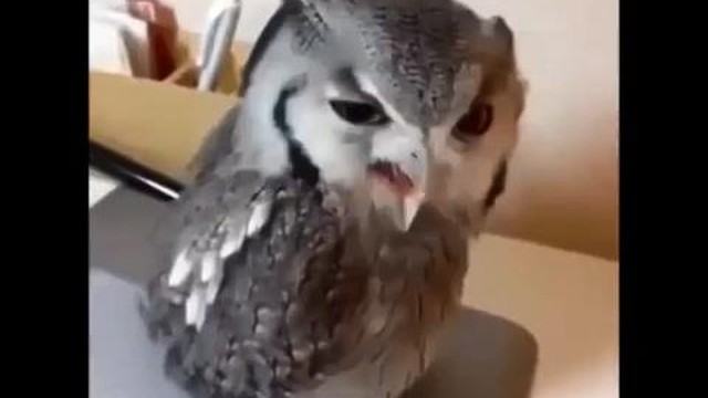 990 Koleksi Gambar Hantu Marah HD Terbaru