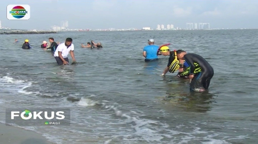 Intip Kegiatan Tni Al Bersih Bersih Sampah Di Pantai Ancol Fokus Pagi