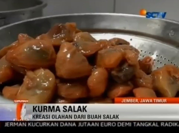 Menakjubkan 19+ Gambar Buah Salak Untuk Diwarnai - Gani Gambar