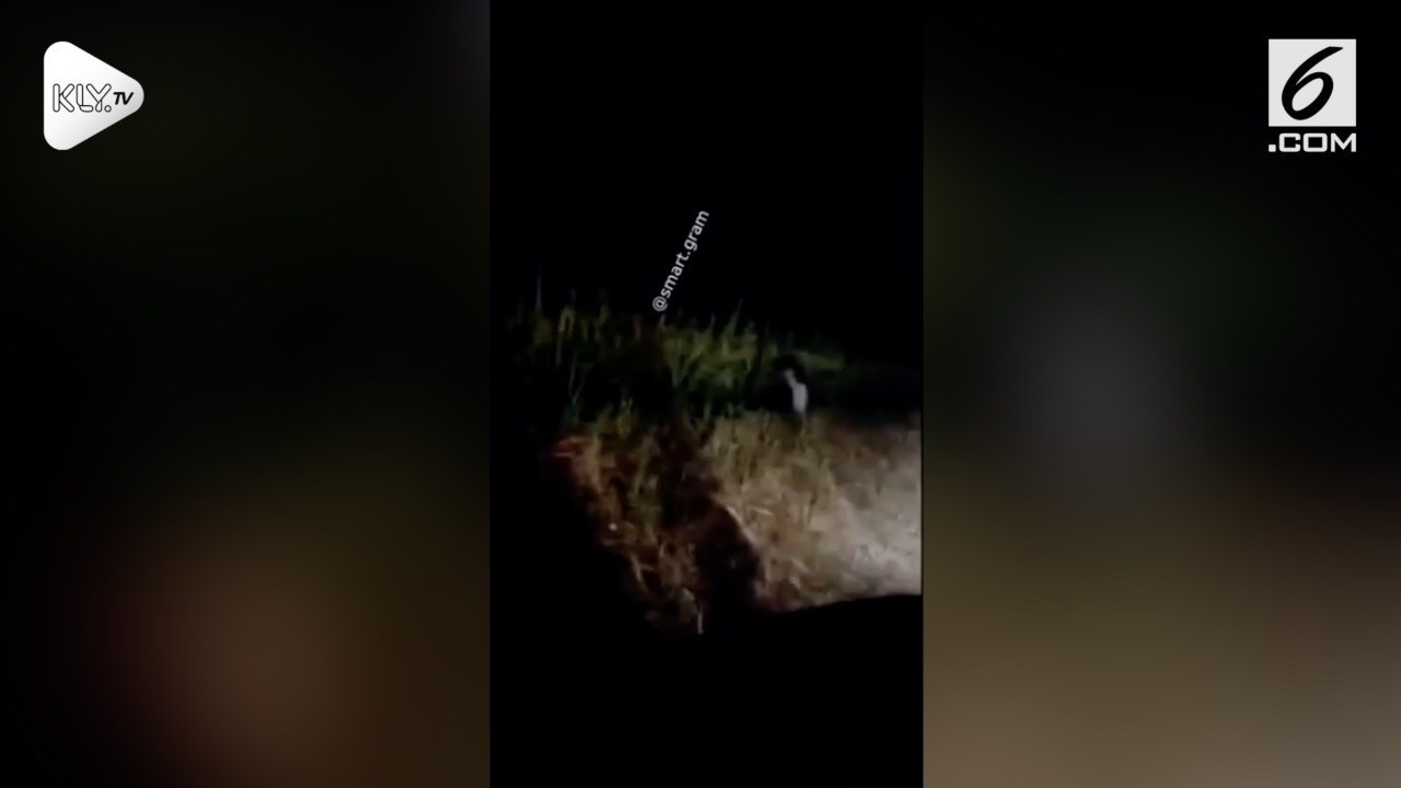 1000+ Gambar Rumah Hantu Cimol HD