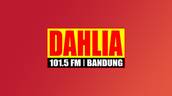 Dahlia FM