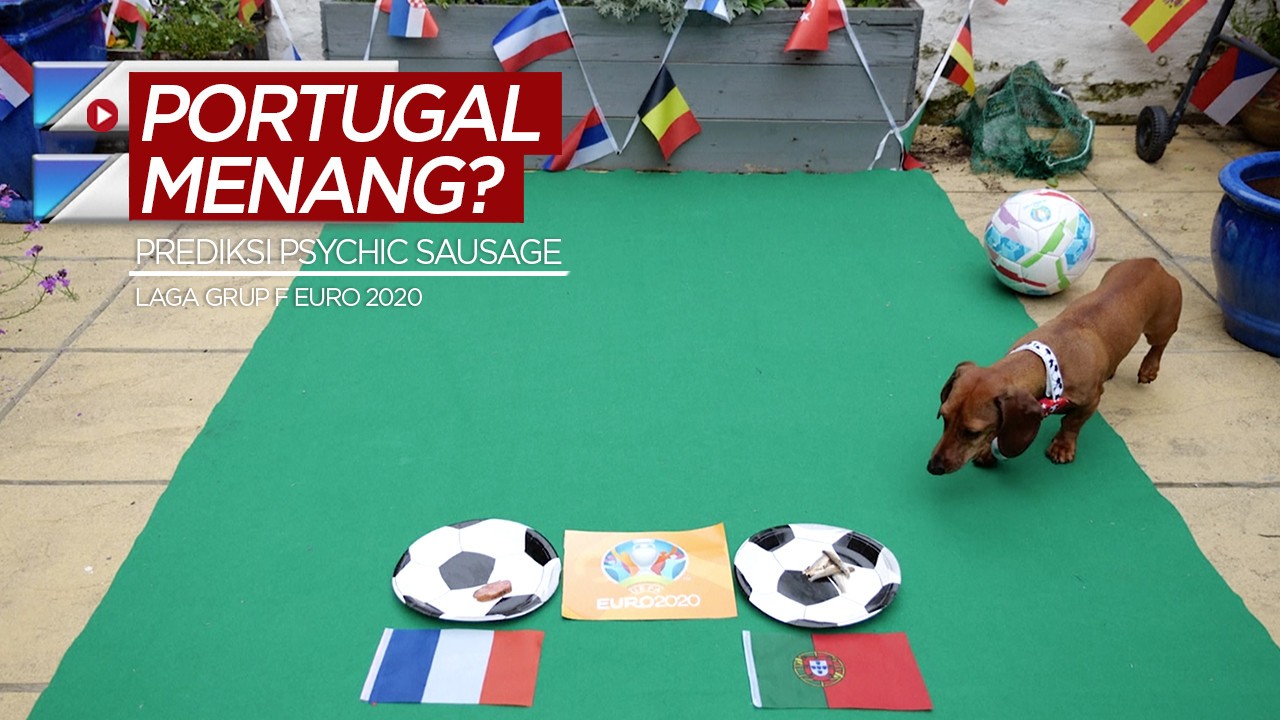 Streaming Prediksi Anjing Psychic Sausage, Timnas Portugal ...