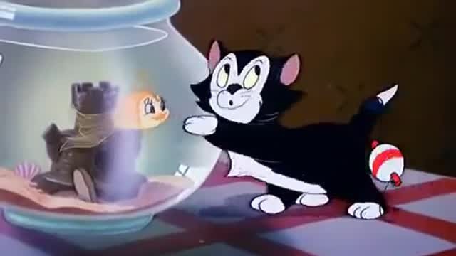  film  kartun  lucu kucing dan ikan  Vidio com