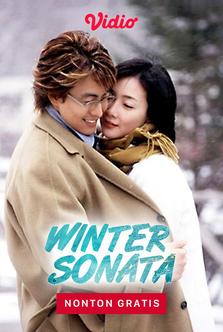 drama korea pinocchio sub indo