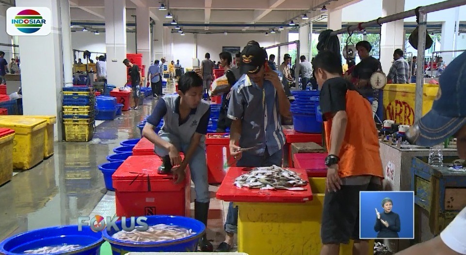 Wow Kini Jakarta Punya Pasar Ikan Modern Yang Megah Dan Bersih Fokus
