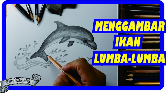 Hobi Menggambar Cara Menggambar Ikan Lumba Lumba Menggunakan Pensil Dengan Mudah