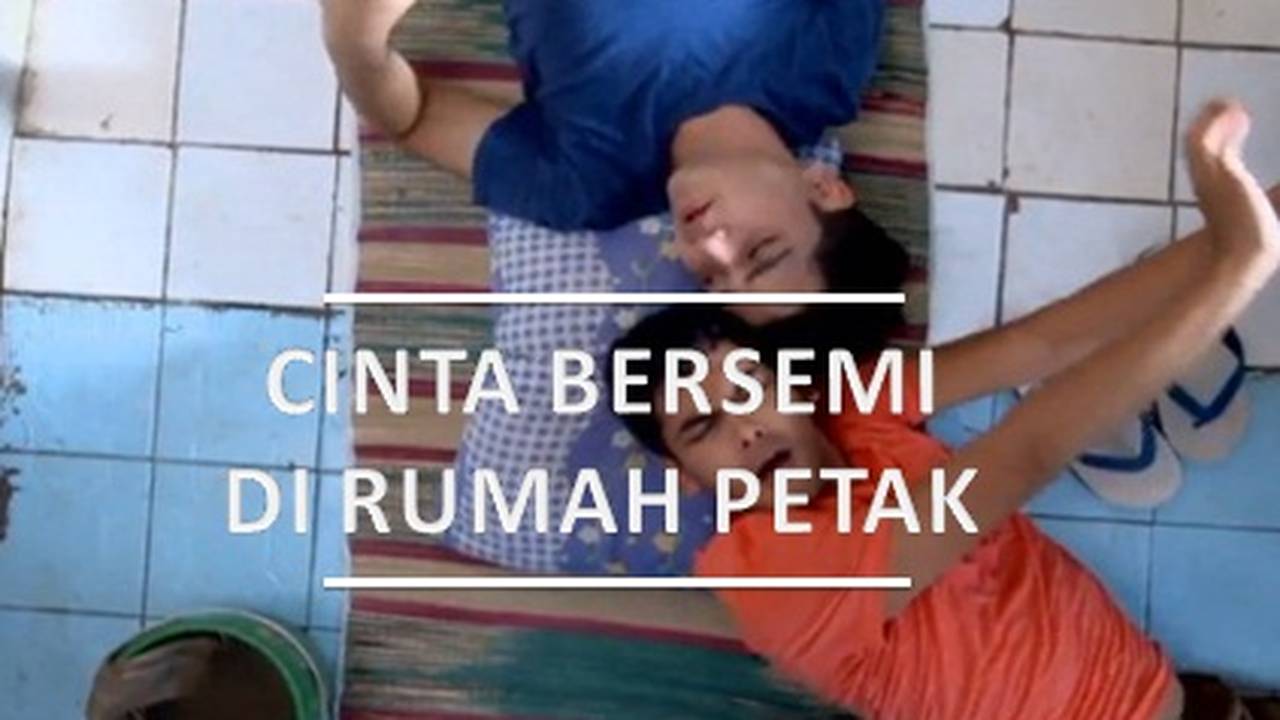 Cinta Bersemi Di Rumah Petak Vidio