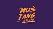 mustang88fm