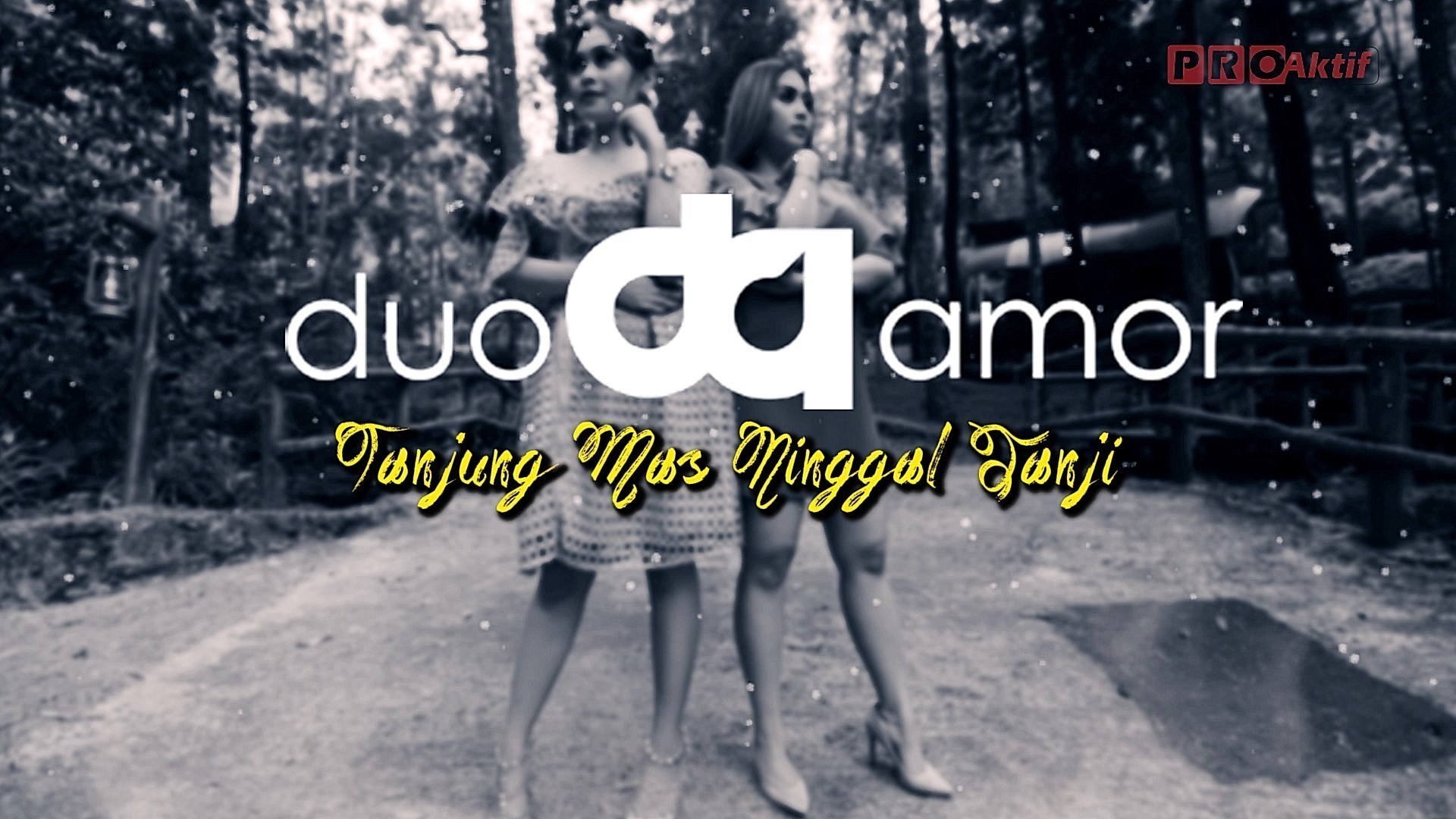 Streaming Duo Amor Tanjung Mas Ninggal Janji Official Lyric Video Vidio Com