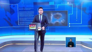 Nonton Video ular masuk permukiman Terbaru - Vidio.com