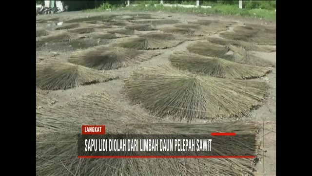  Kerajinan  Sapu  Lidi  Menjadi Mata Pencaharian Warga Desa 