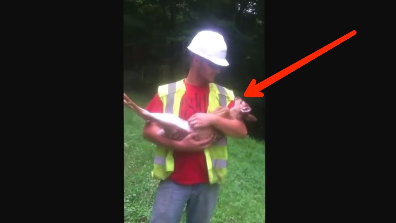 BAYI RUSA PALING ANEH Vidiocom