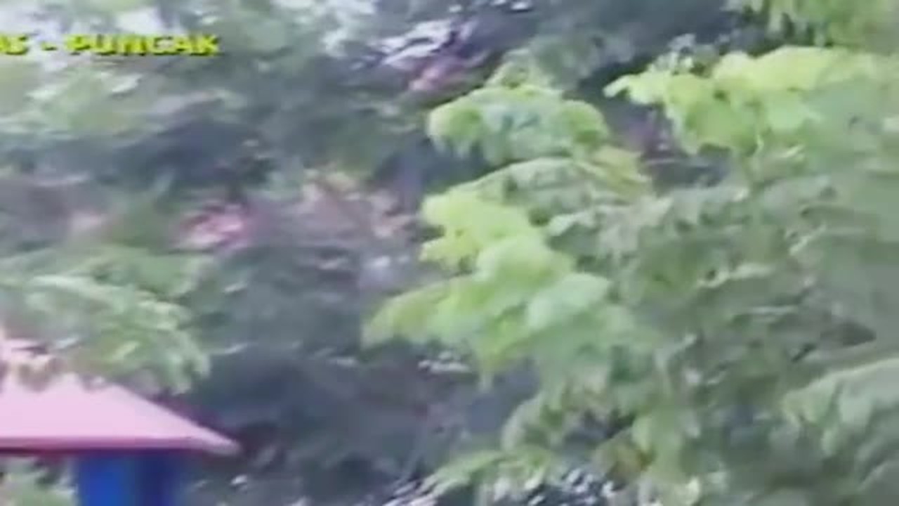 Streaming Hetty Koes Endang Berdiri Bulu Romaku Official Karaoke Video Vidio Com Hetty koes endang lagu rindu lama berdiri bulu romaku. hetty koes endang berdiri bulu romaku official karaoke video