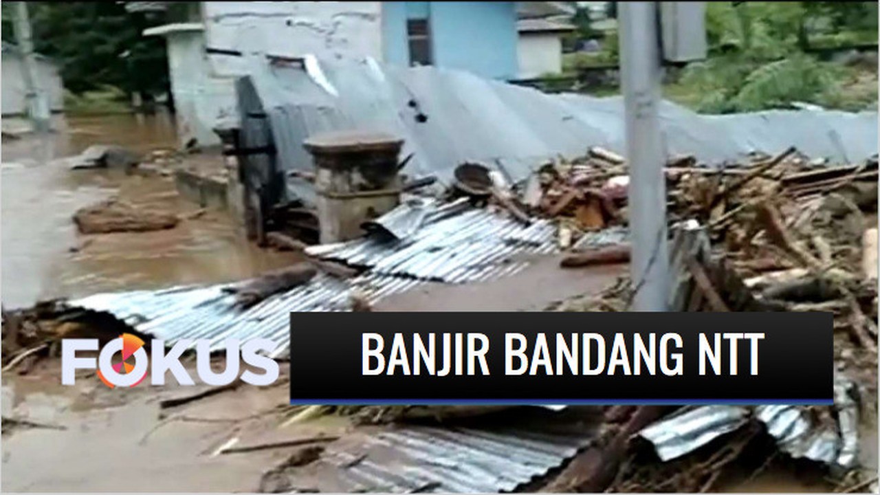Streaming Banjir Bandang NTT, 41 Orang Meninggal Dunia dan 27 Orang Hilang | Fokus | Vidio