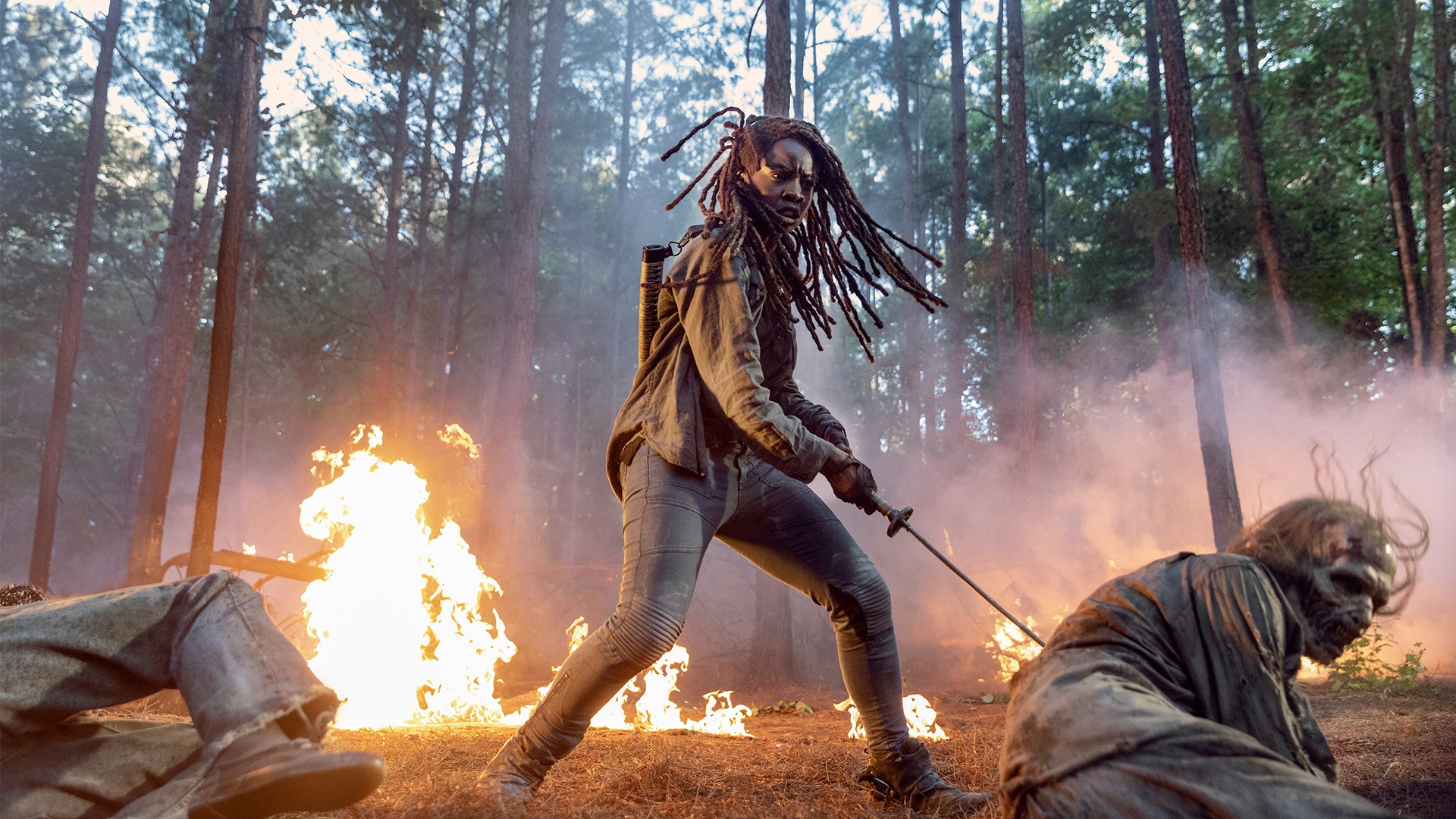 The Walking Dead Season 10 Wallpaper Hd Champion TV Show
