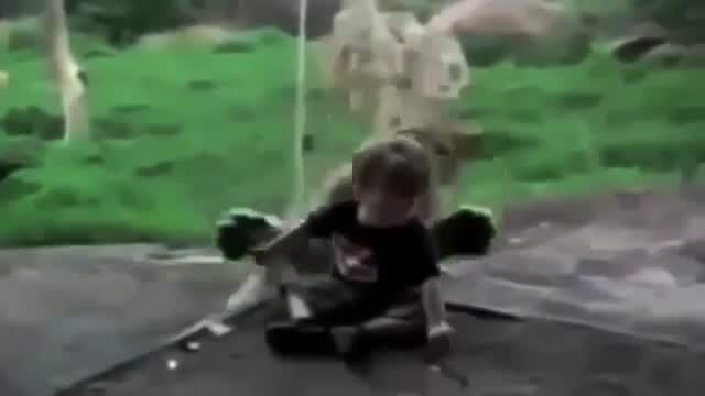 Unduh 880 Koleksi Gambar Hewan Lucu Aneh Terbaru 