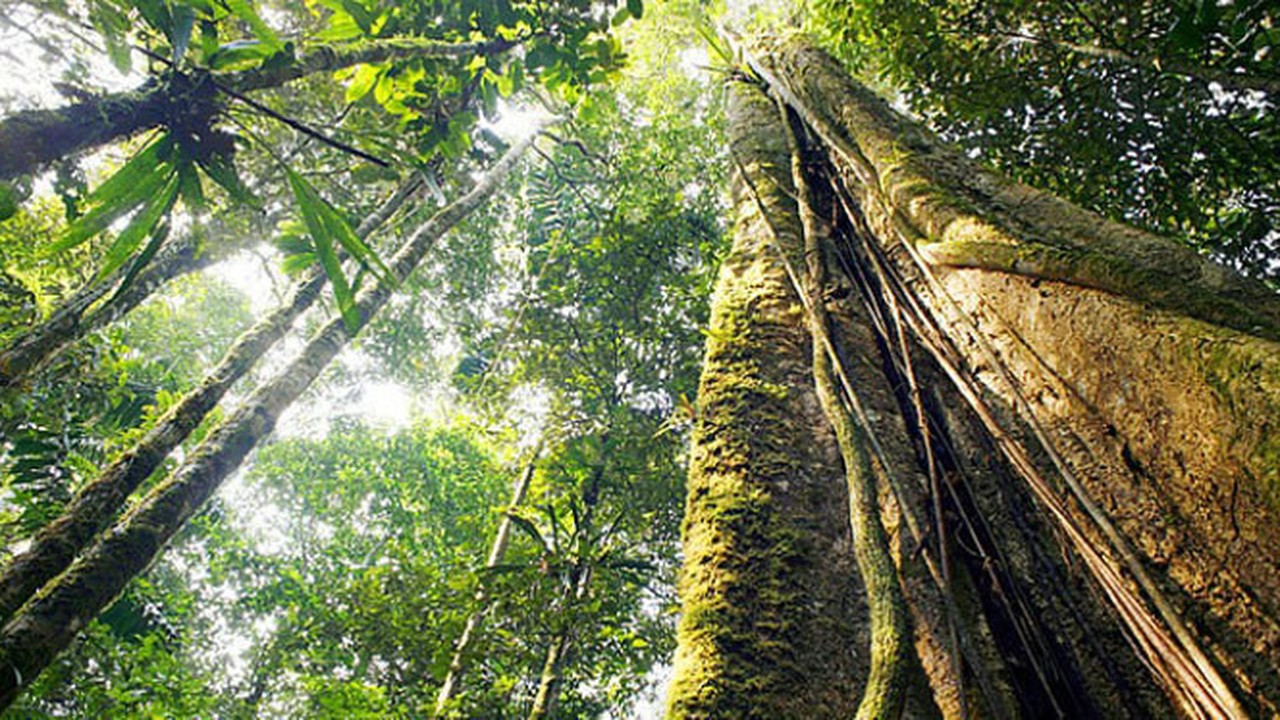 Streaming 6 Sumber Daya Alam Ini Tanpa Disadari Lebih  