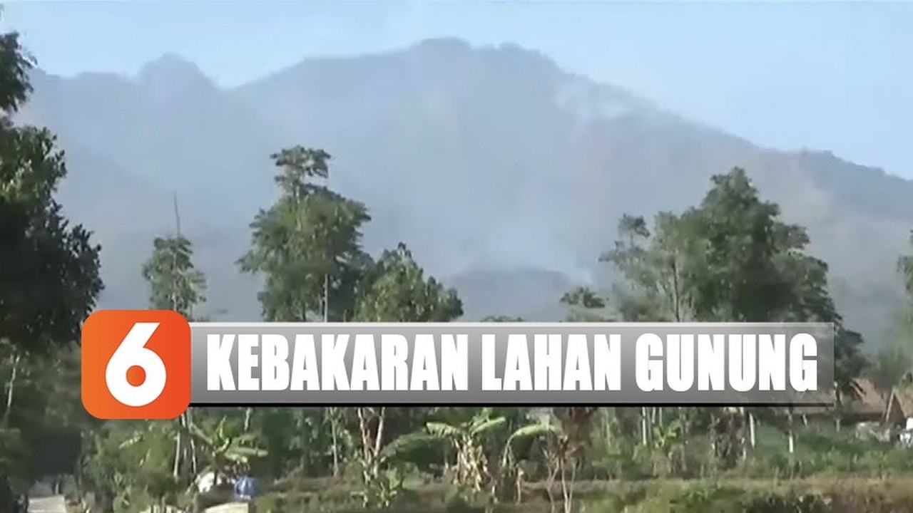 Streaming Lagi, Kebakaran Landa Lereng Gunung Malabar Bandung - Liputan