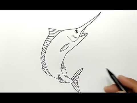 30+ trend terbaru sketsa gambar ikan arwana - tea and lead