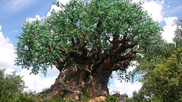 Wow Pohon Di India Ini Mempunyai Banyak Sekali Ukiran Hewan Di Dahan Dan Tangkainya