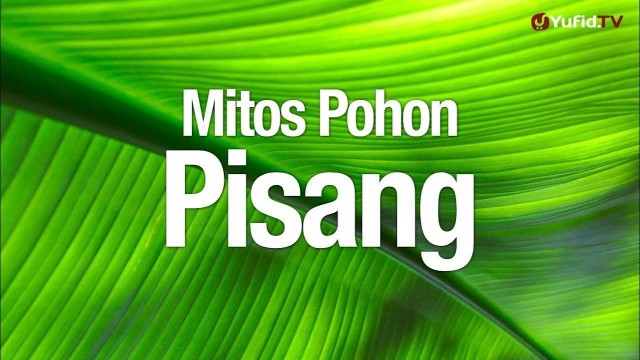 Streaming Ceramah Singkat Mitos Pohon Pisang Ustadz Ahmad Zainuddin Lc Vidio