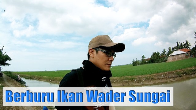 Streaming Mancing Ikan Wader Di Sungai Kecil Pinggiran Sawah Vidio Com