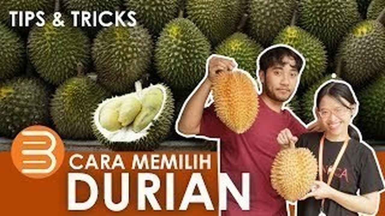 Streaming Cara Memilih Durian yang Enak dan Matang 
