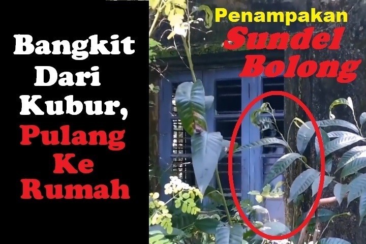 51 Gambar Hantu Bangkit Dari Kubur Gratis Terbaik