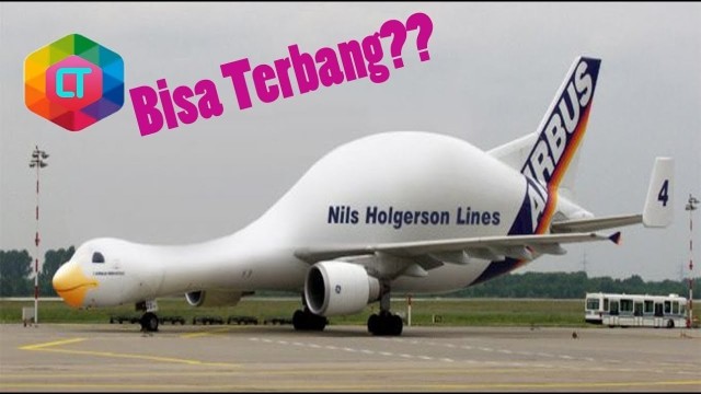 7 Pesawat  Bentuk Aneh Yang  BIsa Terbang Vidio com