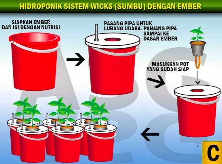 Cara Menanam Tomat Hidroponik Yang Benar Youtube Vidio Com