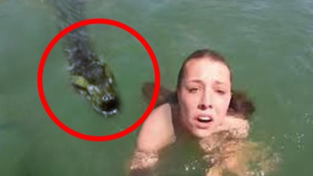 560 Koleksi Hantu Air Seram HD