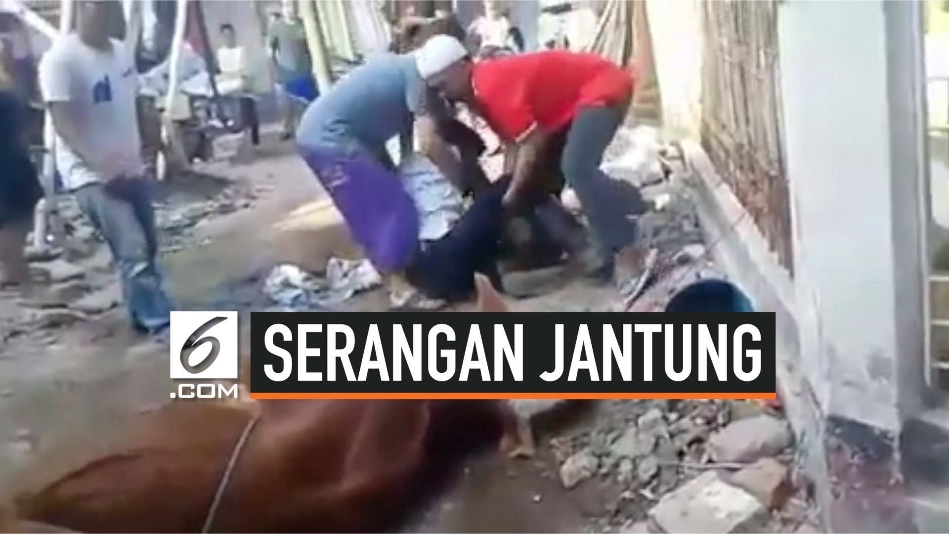 980 Gambar Memotong Hewan Kurban Lucu Gratis Terbaik