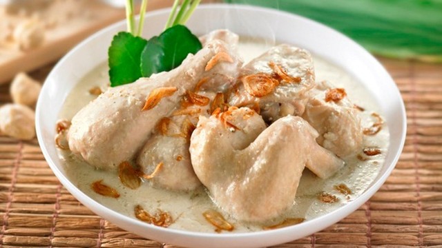 Hasil gambar untuk gambar opor ayam HD