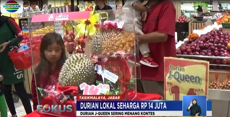 Unduh 8200 Gambar Durian 14 Juta Paling Baru HD