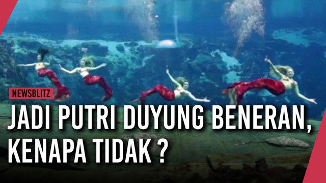 Streaming Jadi Putri Duyung Beneran, Kenapa Tidak - Vidio.com