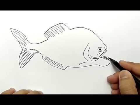 Cara Menggambar Ikan Piranha Dalam 1 Menit Mudah Sekali