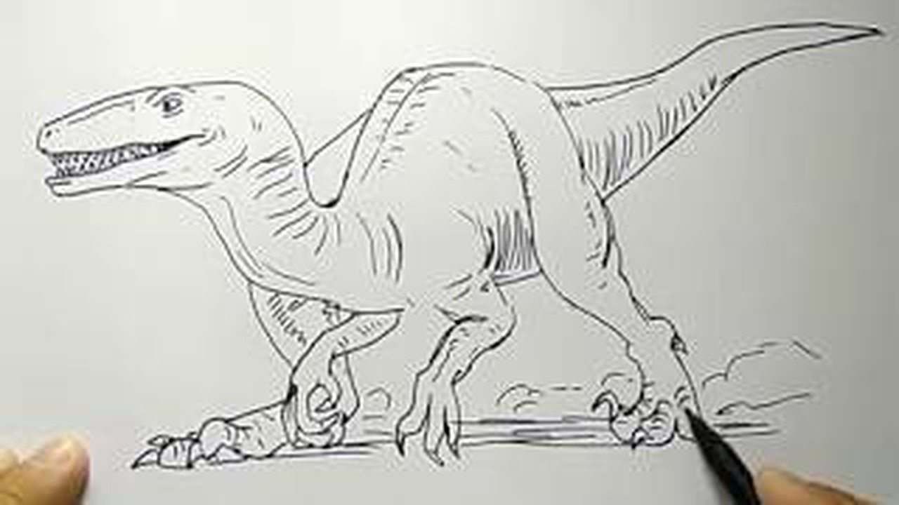 Streaming cara menggambar dinosaurus  raptor dengan mudah 