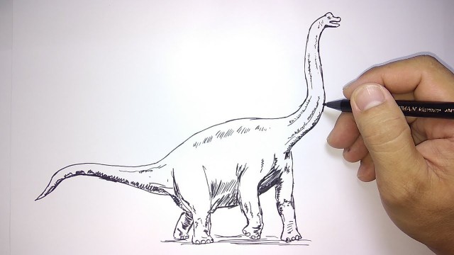 Streaming cara menggambar dinosaurus  branchosaurus Vidio com