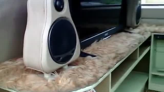 Streaming Ketika Mobil Tua Diubah Menjadi Mewah Modifikasi Interior Hijet 1000 Ucup Motor Magelang Vidio Com