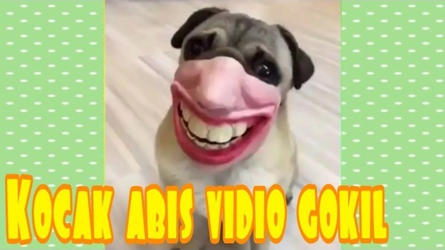 Kocak Abis Lucu Banget Bikin Ketawa Ngakak Video Gokil