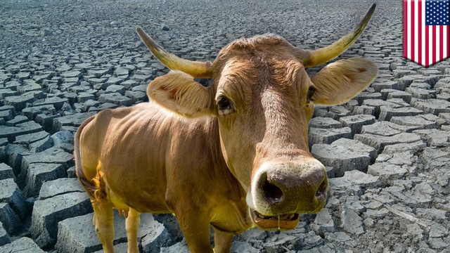 Https Www Vidio Com Watch 1627327 Tanggul Jebol Anak Anak Terjebak Banjir Di Sekolah Https Cdn Production Thumbor Vidio Akamaized Net W1 Jwg52x8nbq7wwi C4x3ygylc 640x360 Filters Quality 90 Vidio Web Prod Video Uploads Video Image