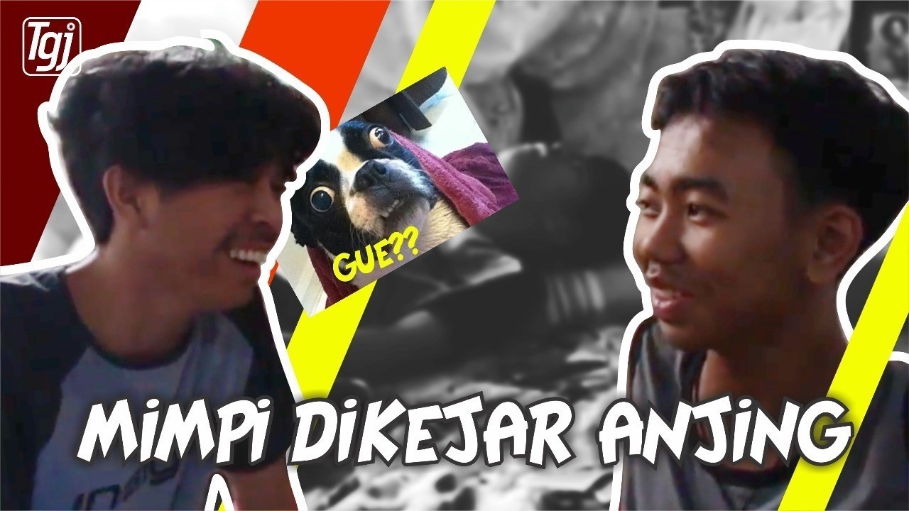 35+ Populer Gambar Lucu Dikejar Anjing Terbaru | Meme