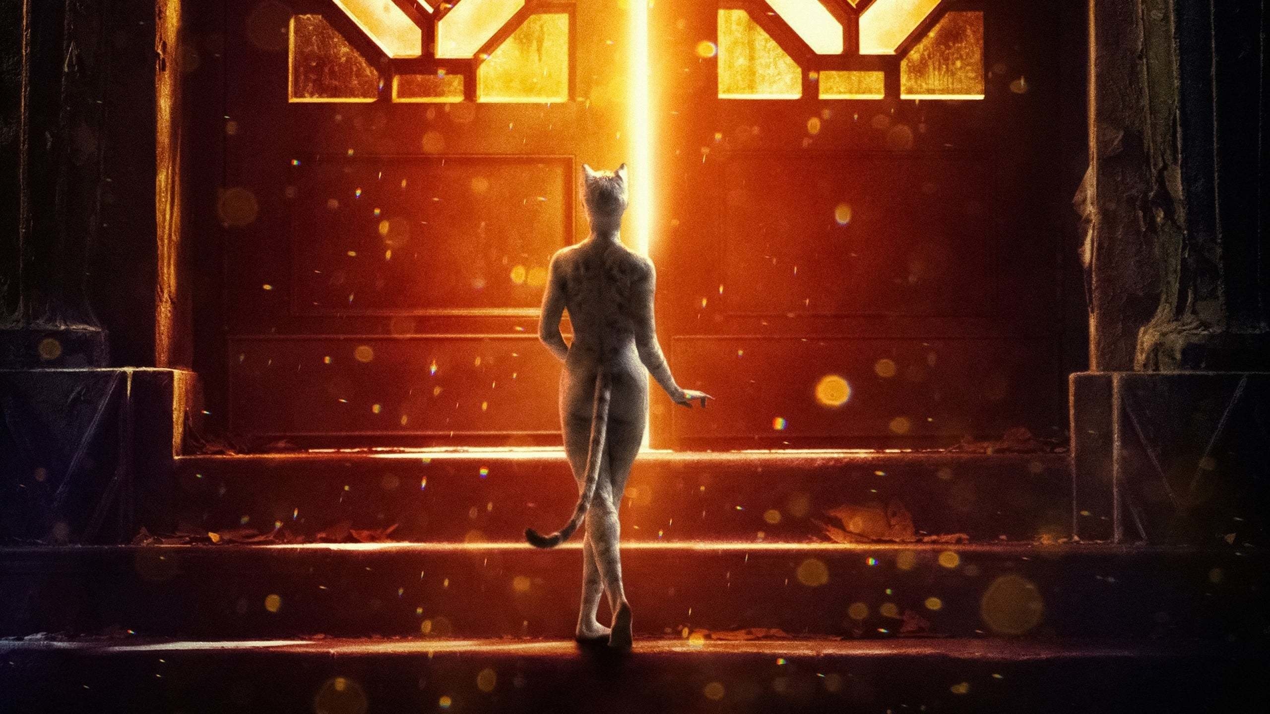 Watch Cats 2019 Full Movie Free Online Hd Vidio Com