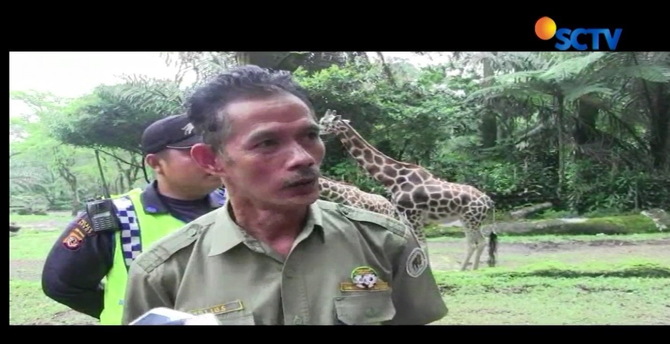 Pasca Video Miras Beredar Taman Safari Indonesia Awasi