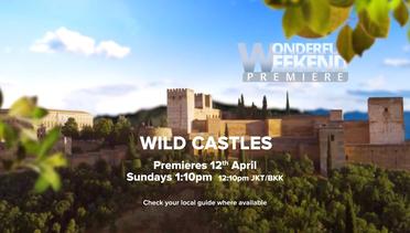 Wild castle бесплатные покупки