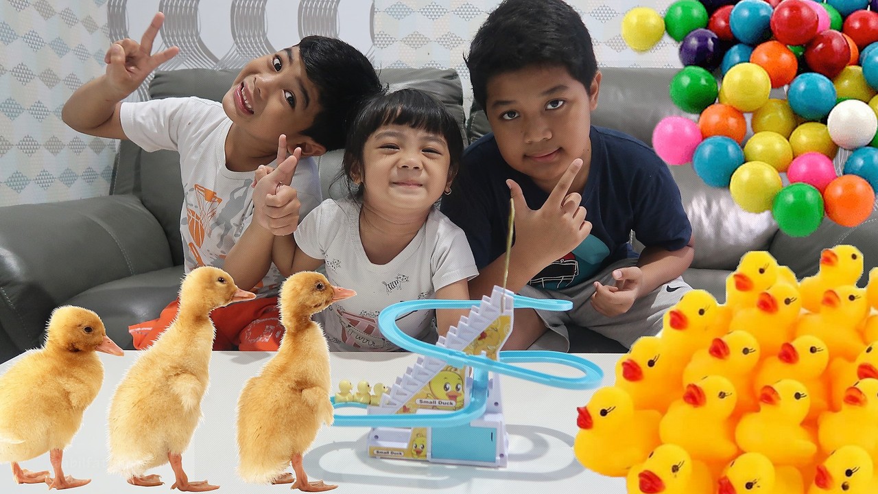 Streaming Drama Bola dan Bebek Lucu Jadi Mainan | Abil ...