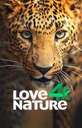 Vidio.com - Video dan Tv Streaming di Indonesia