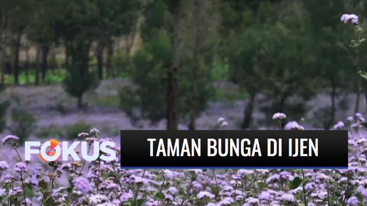 Kode Alam Kebun Bunga - Bunga Langka / 40 pakai akar bahar ...