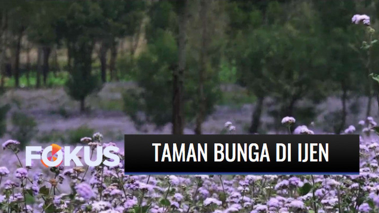 Kode Alam Kebun Bunga / Keren Lahan Gersang Bantul Disulap ...